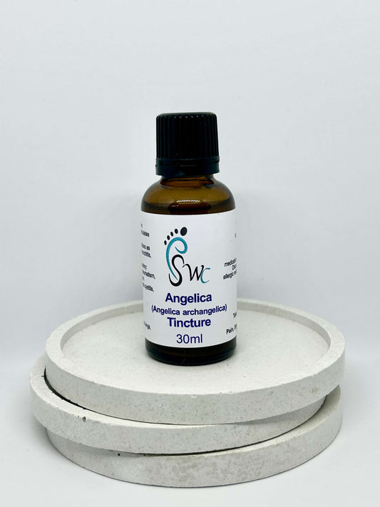 30ml bottle of Angelica Tincture – herbal extract for digestion, respiratory health, and immune support