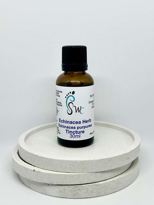 30ml bottle of Echinacea Tincture – natural herbal extract for immune support, cold relief, and infection prevention