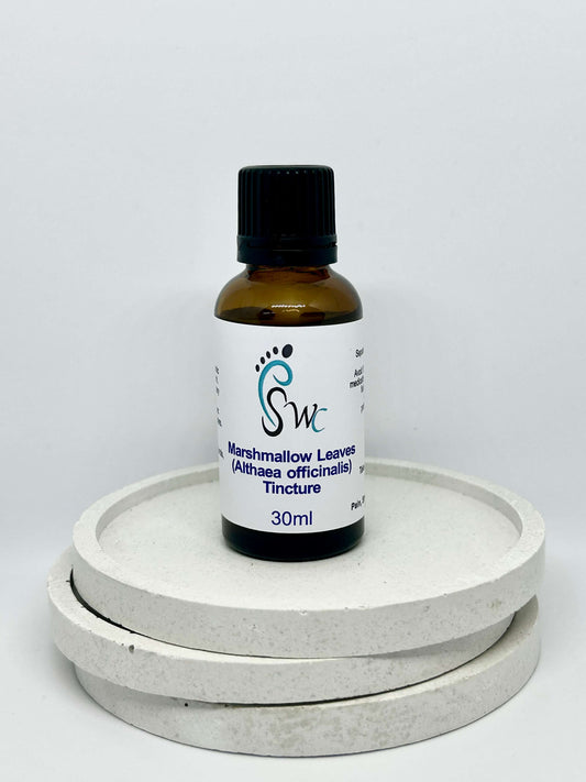 Amber glass bottle of mallow leaf tincture – natural herbal remedy for dry cough, digestive irritation, and skin inflammation